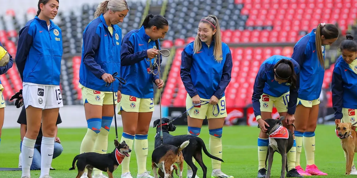 Las Águilas promovieron la adopción de perritos en la ceremonia de protocolo. 