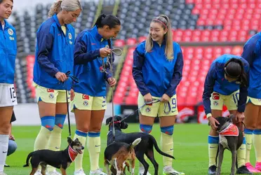 Las Águilas promovieron la adopción de perritos en la ceremonia de protocolo. 